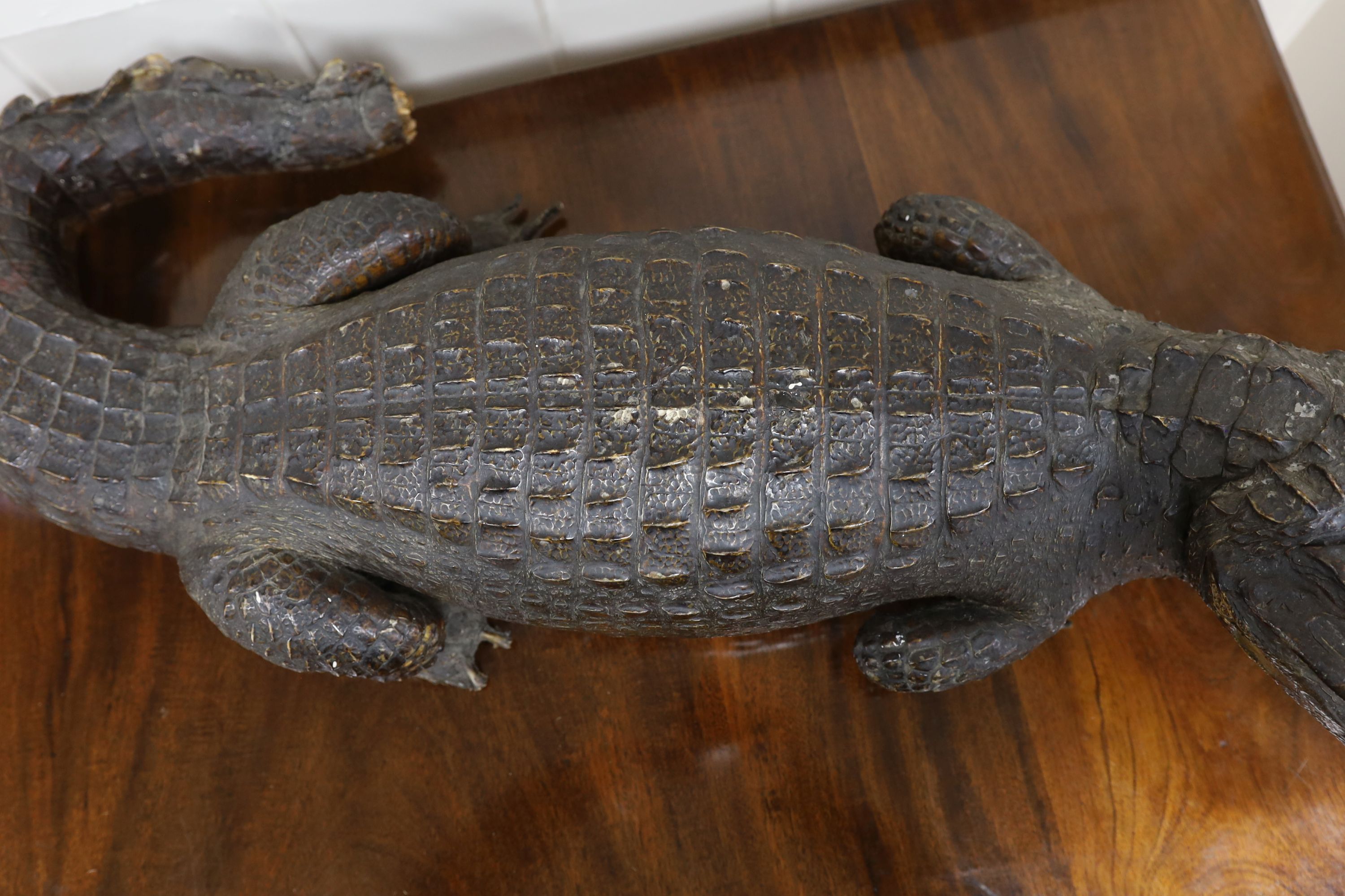 A taxidermy late 19th century Nile crocodile, approximately 92cm long